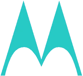 Motorola Radio Networks Icon