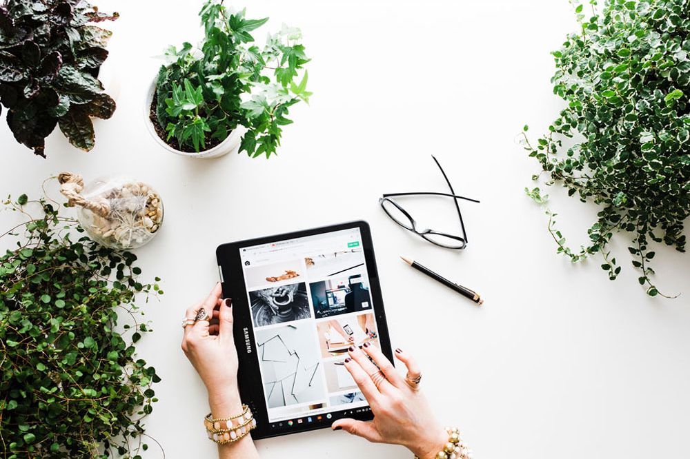 A person using a tablet at a plant-filled workspace